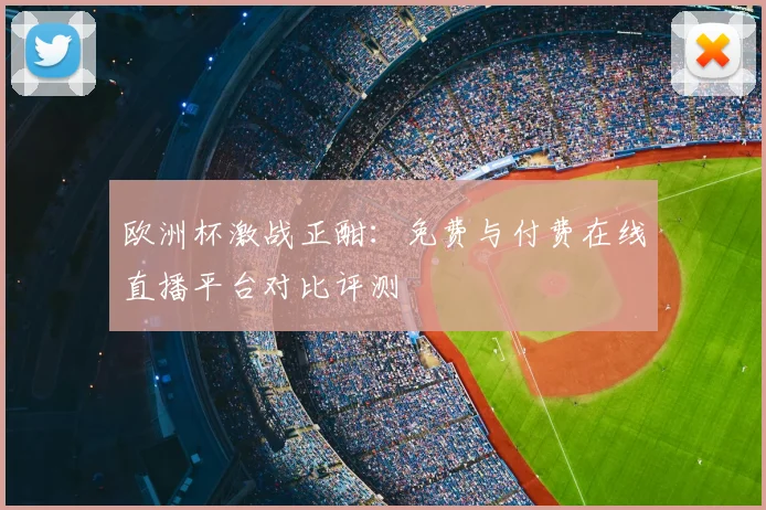 欧洲杯激战正酣：免费与付费在线直播平台对比评测
